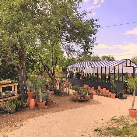 Le Cactus Orange D'hote Entree Independante * Cressensac-Sarrazac
