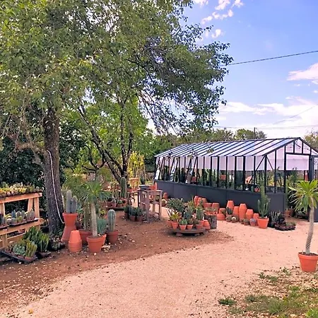 Le Cactus Orange D'hote Entree Independante Frühstückspension 3*